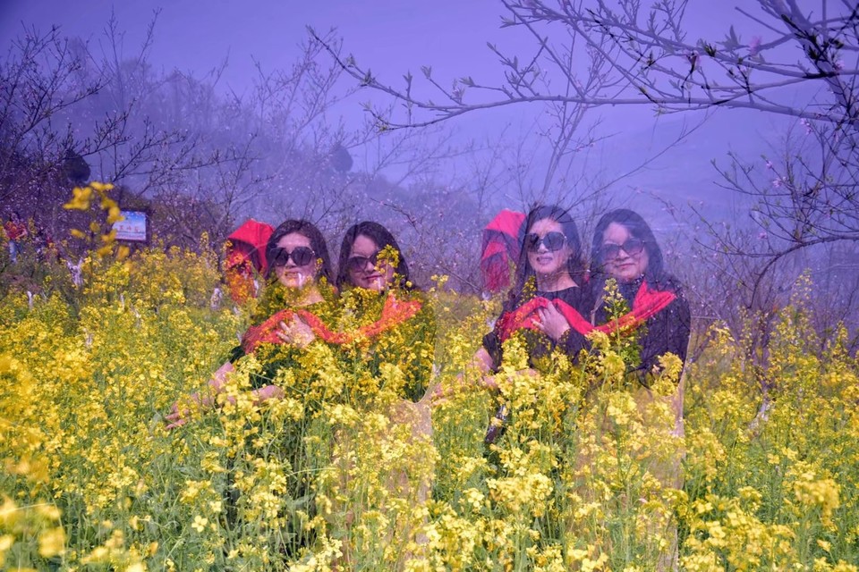 mmexport1522315663062