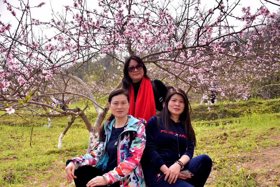 mmexport1522315670203