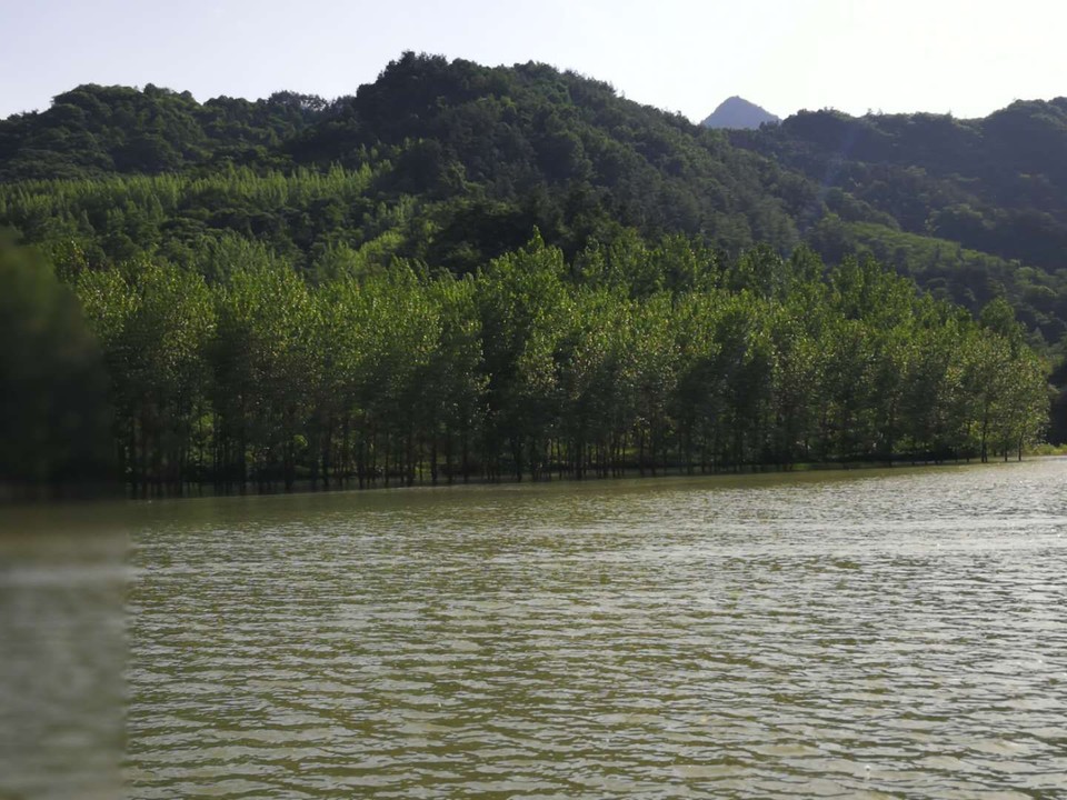 mmexport1526365500767