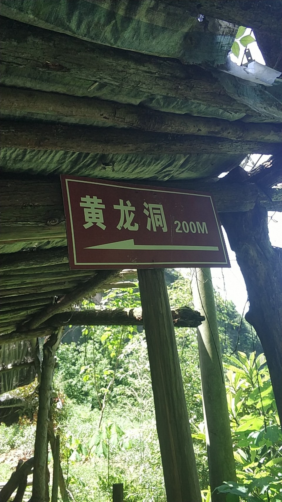 wx_camera_1526189591193