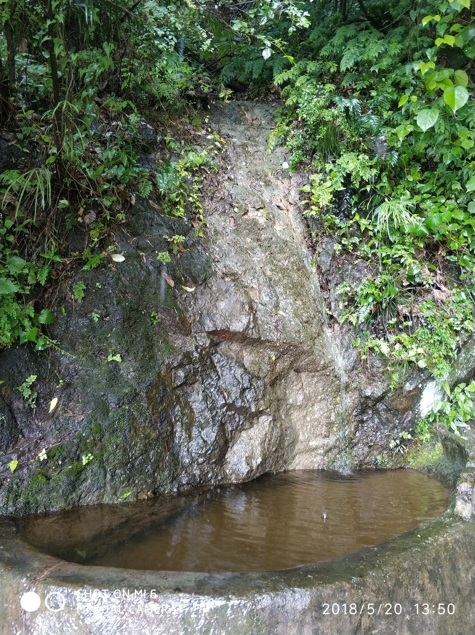 IMG_20180520_135035_1