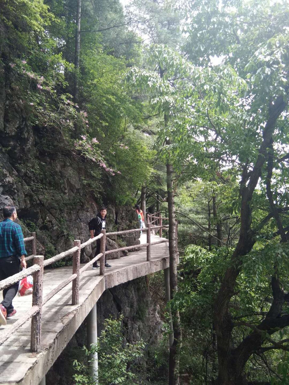 mmexport1527467885701