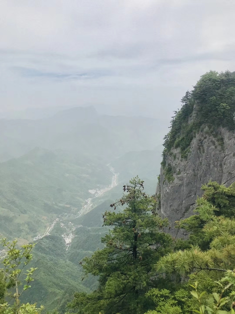 mmexport1527429495064