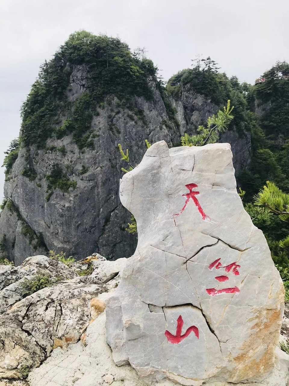 mmexport1527429469283