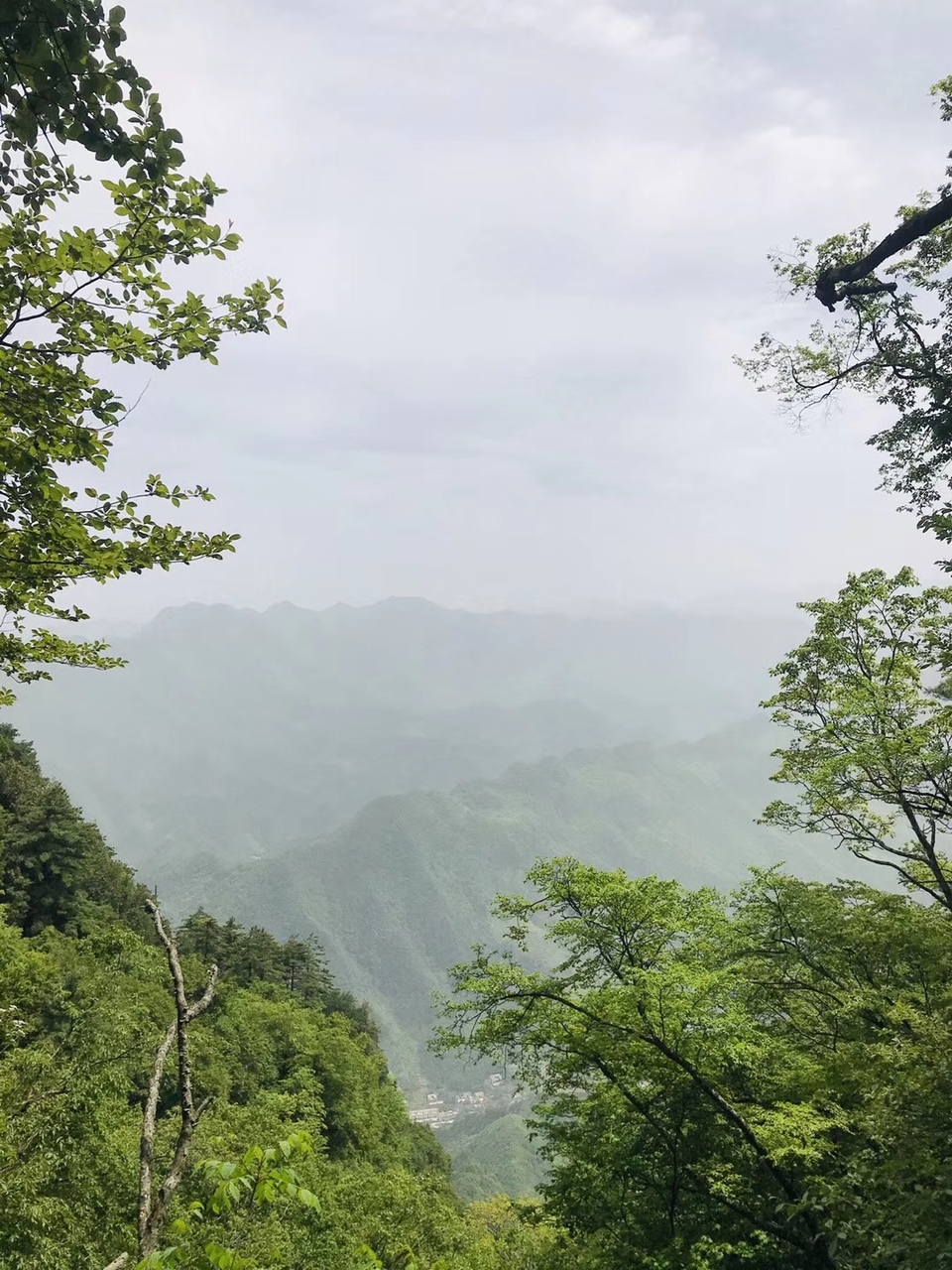 mmexport1527429460759