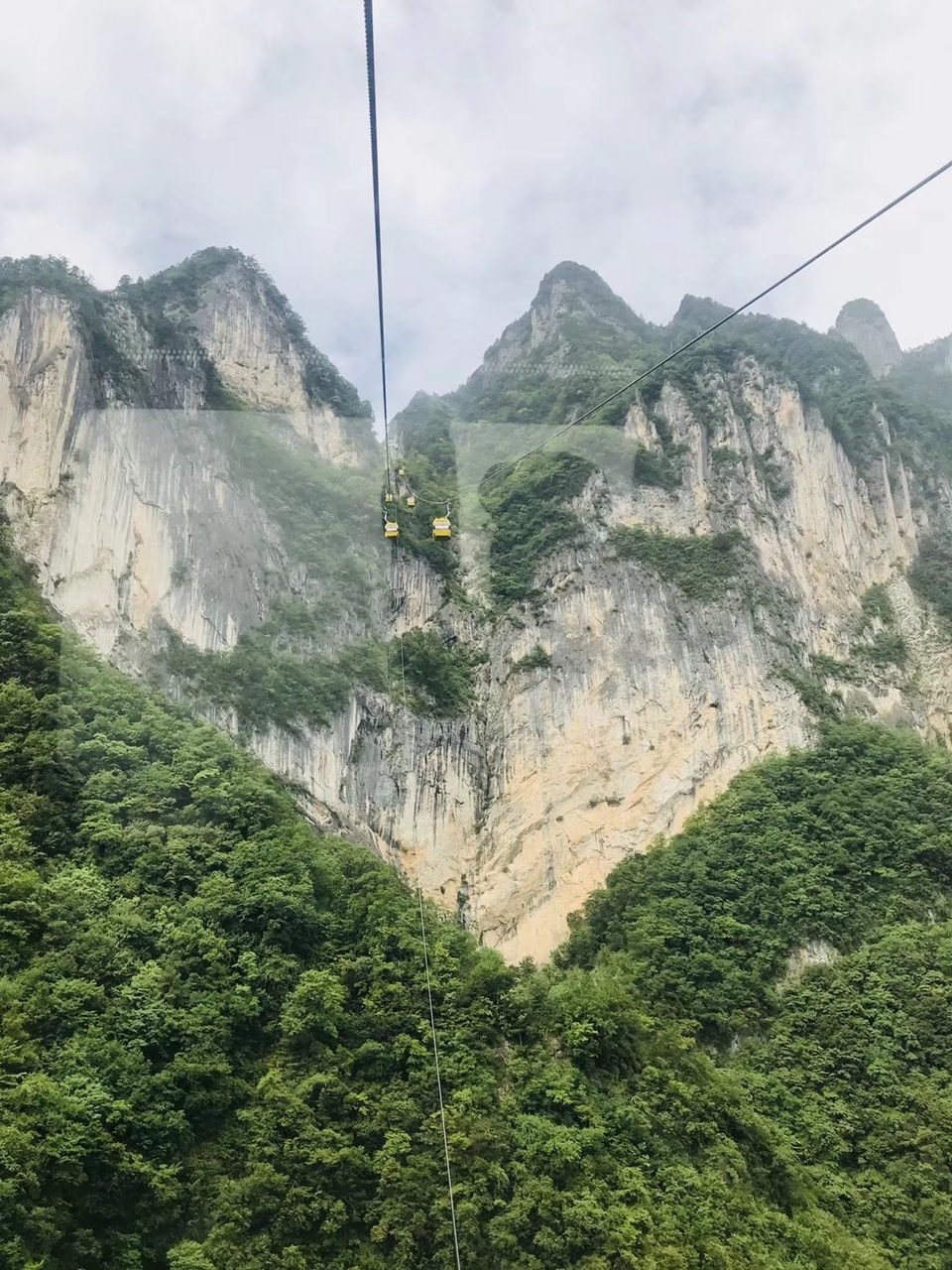 mmexport1527429456556