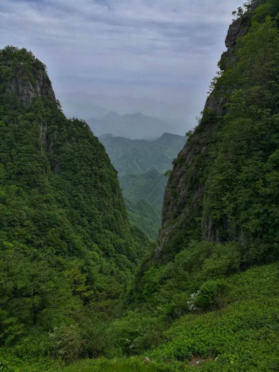 mmexport1527424883755