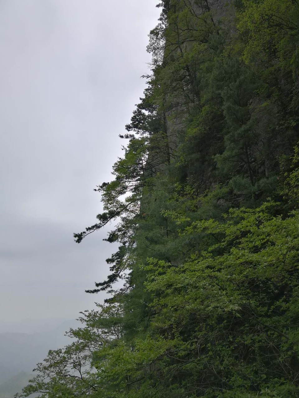 mmexport1527424869550