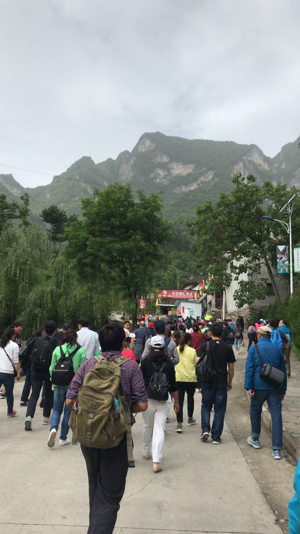 mmexport1527419882996