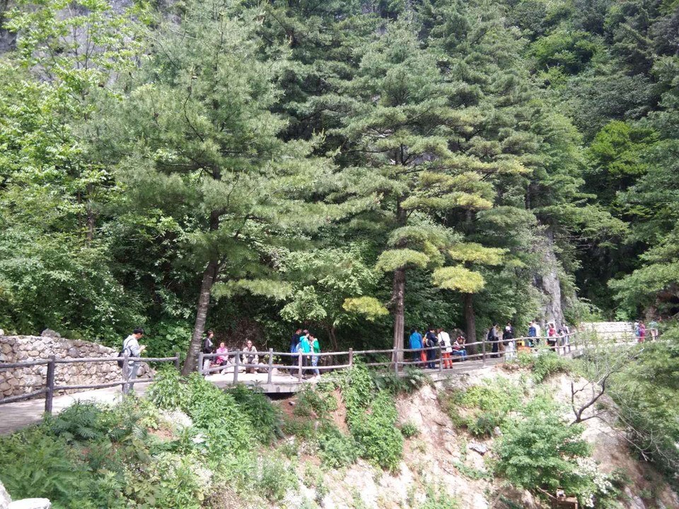 mmexport1527419874686