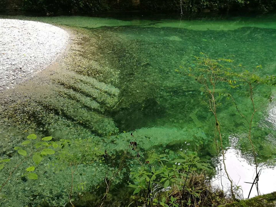 微信图片_20180604152443