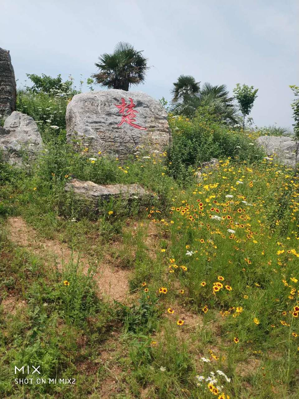 微信图片_20180603113733