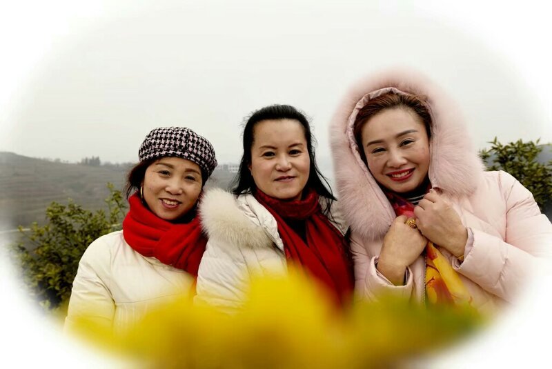 微信图片_201010210245193