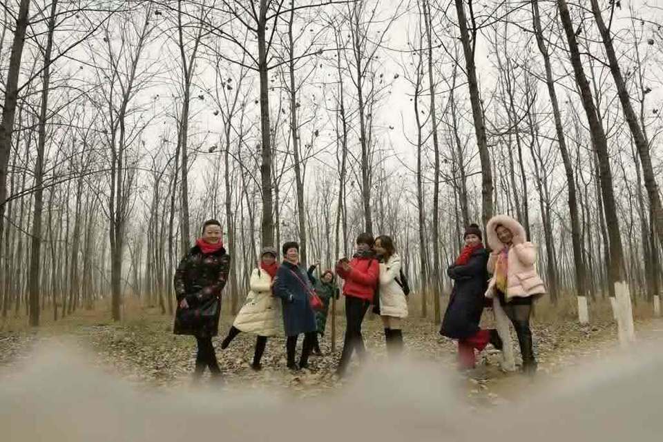 微信图片_201010210245197