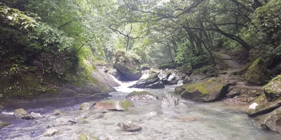 36Sm2GH-Fvs82KrQW7nAuH655bfRYtPiYMkLzlt_jZQNuouFb3wN6QsCkM77e0KZ