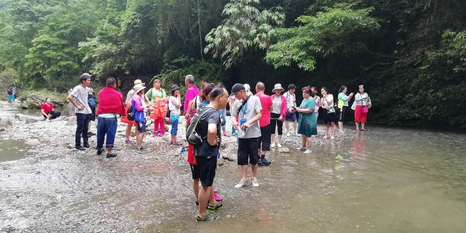 QGkEvG2pFw8J0lvjnIoUTy7RYjmgQ-XRtXwgq4hC_g2PhXhUKnvcFVBgLY8Fh80y