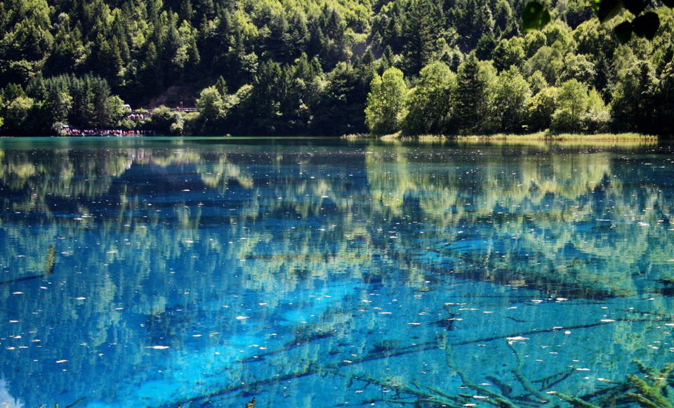 【迷人五花海】2017年8月5日拍摄于九寨沟