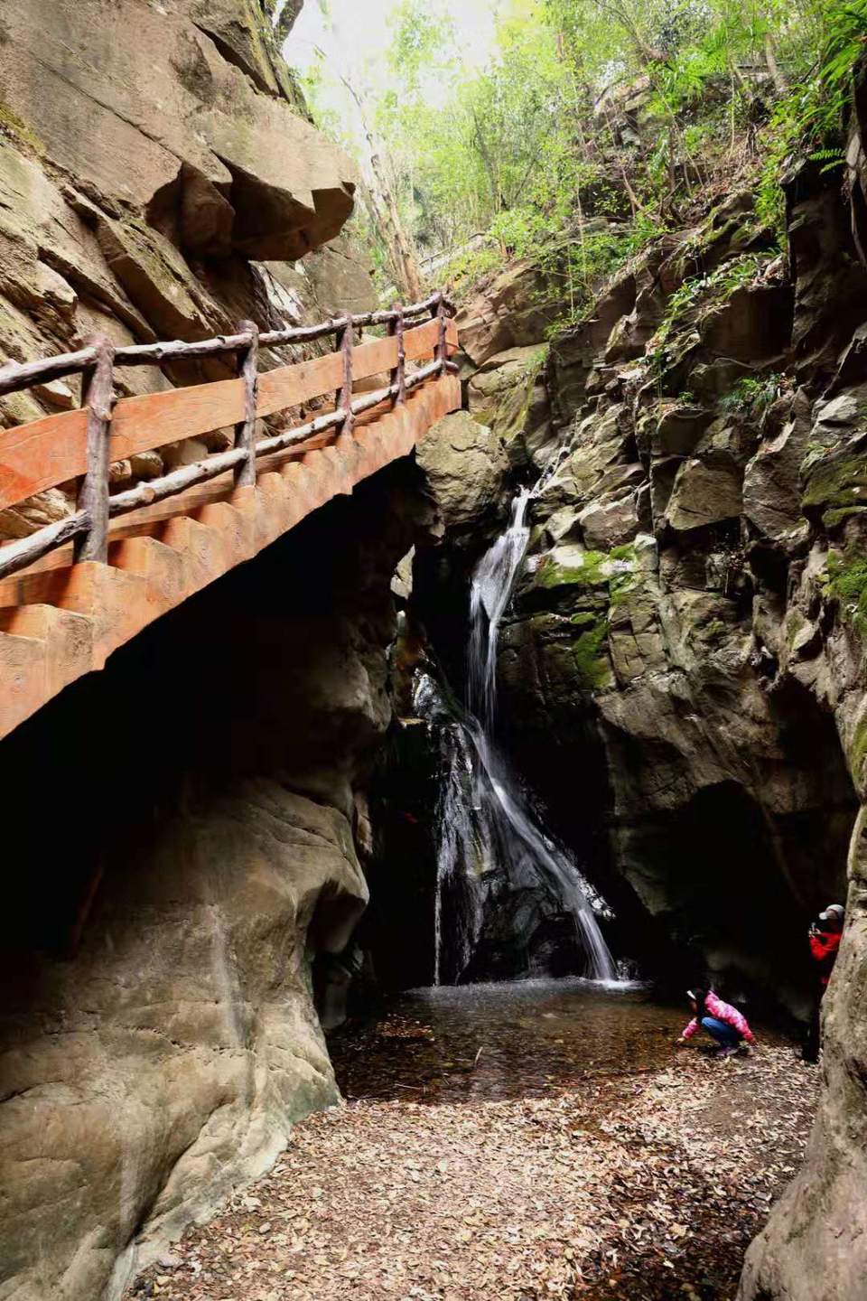 微信图片_20190226112600