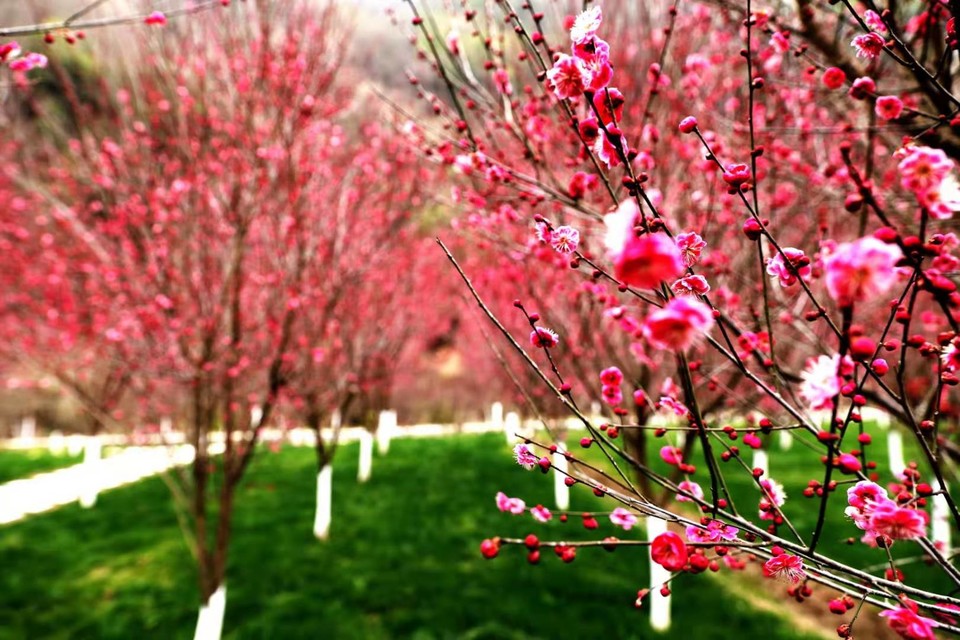 微信图片_20190226112616