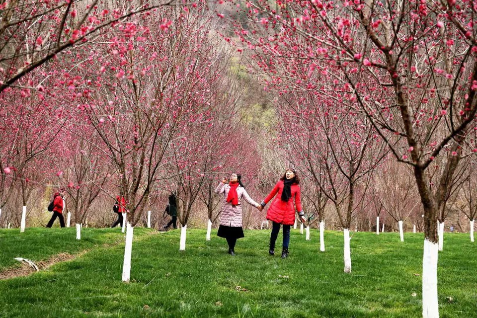 微信图片_20190226112629