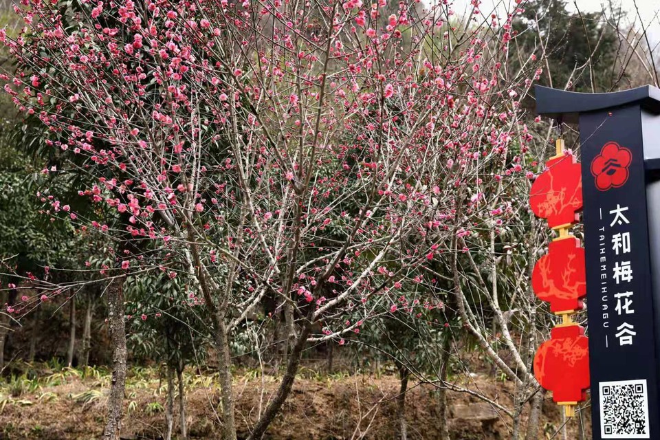 微信图片_20190226112636