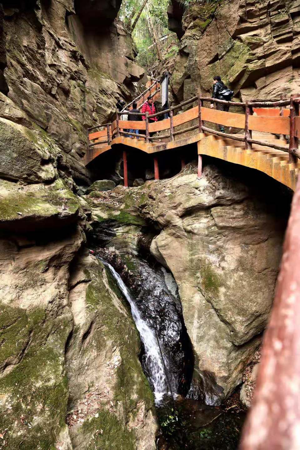 微信图片_20190226112709