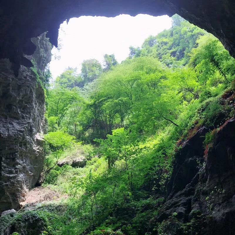 mmexport1528933227584