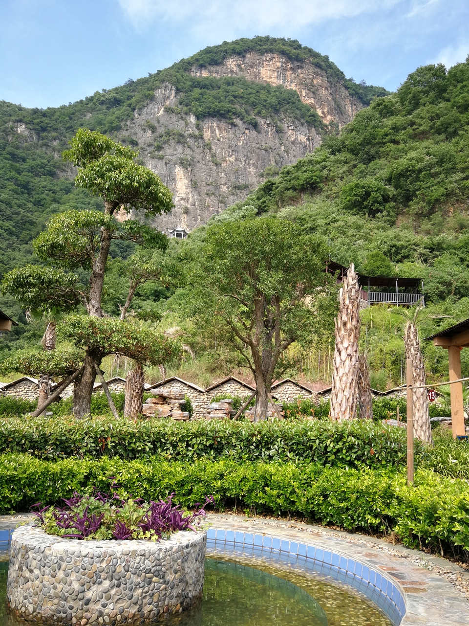 mmexport1529400207016