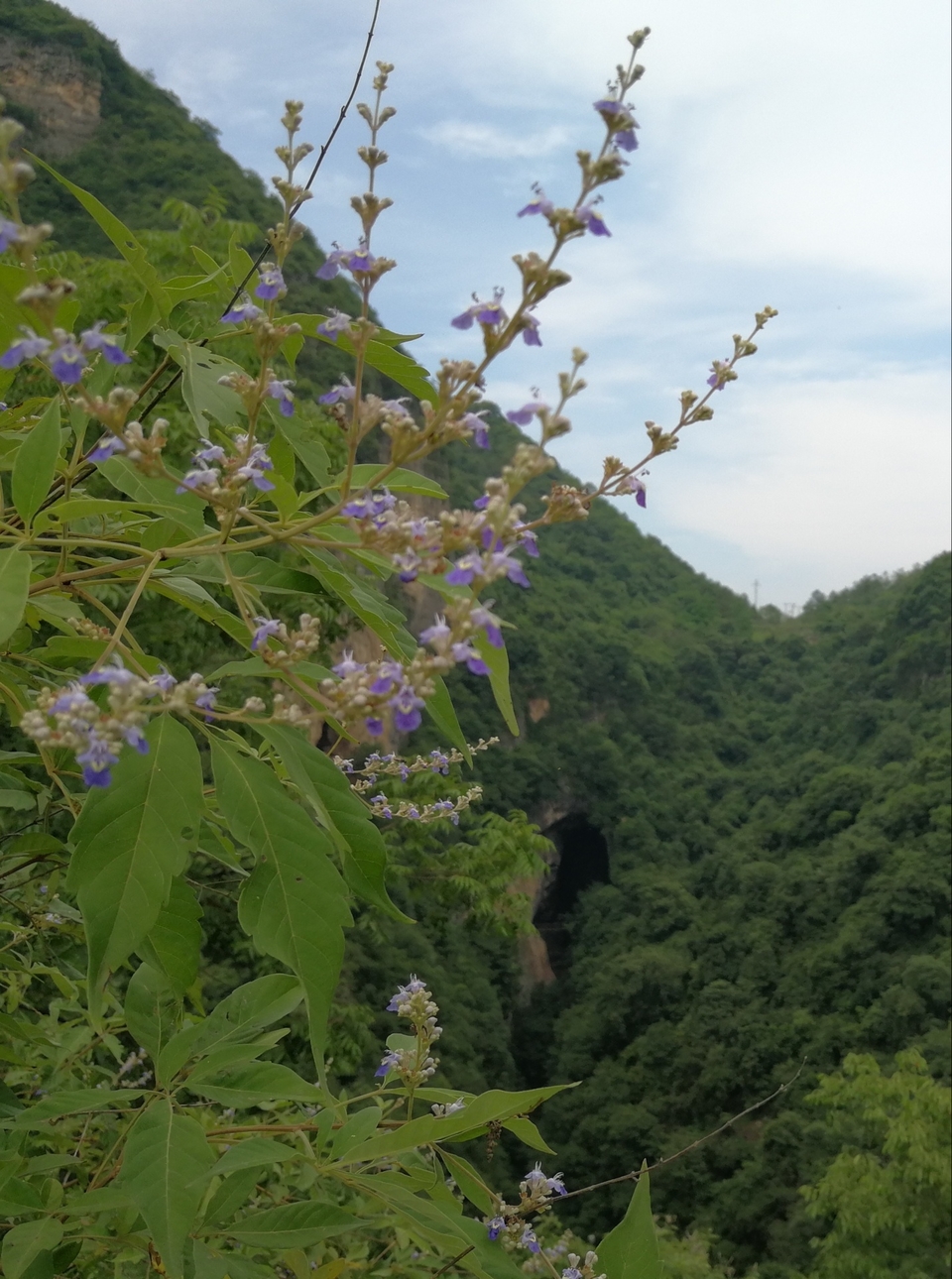 mmexport1529400209139