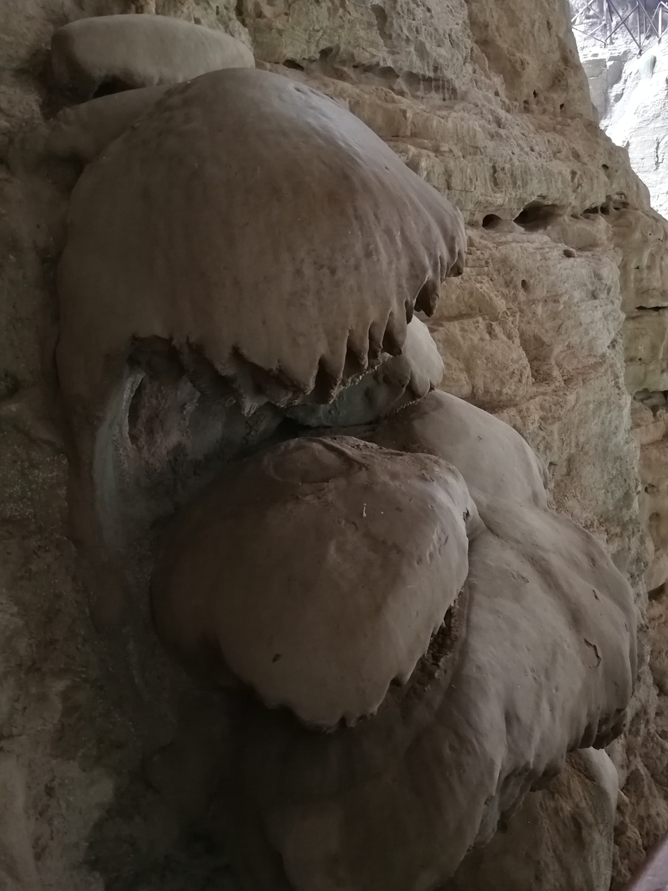 mmexport1529400241552