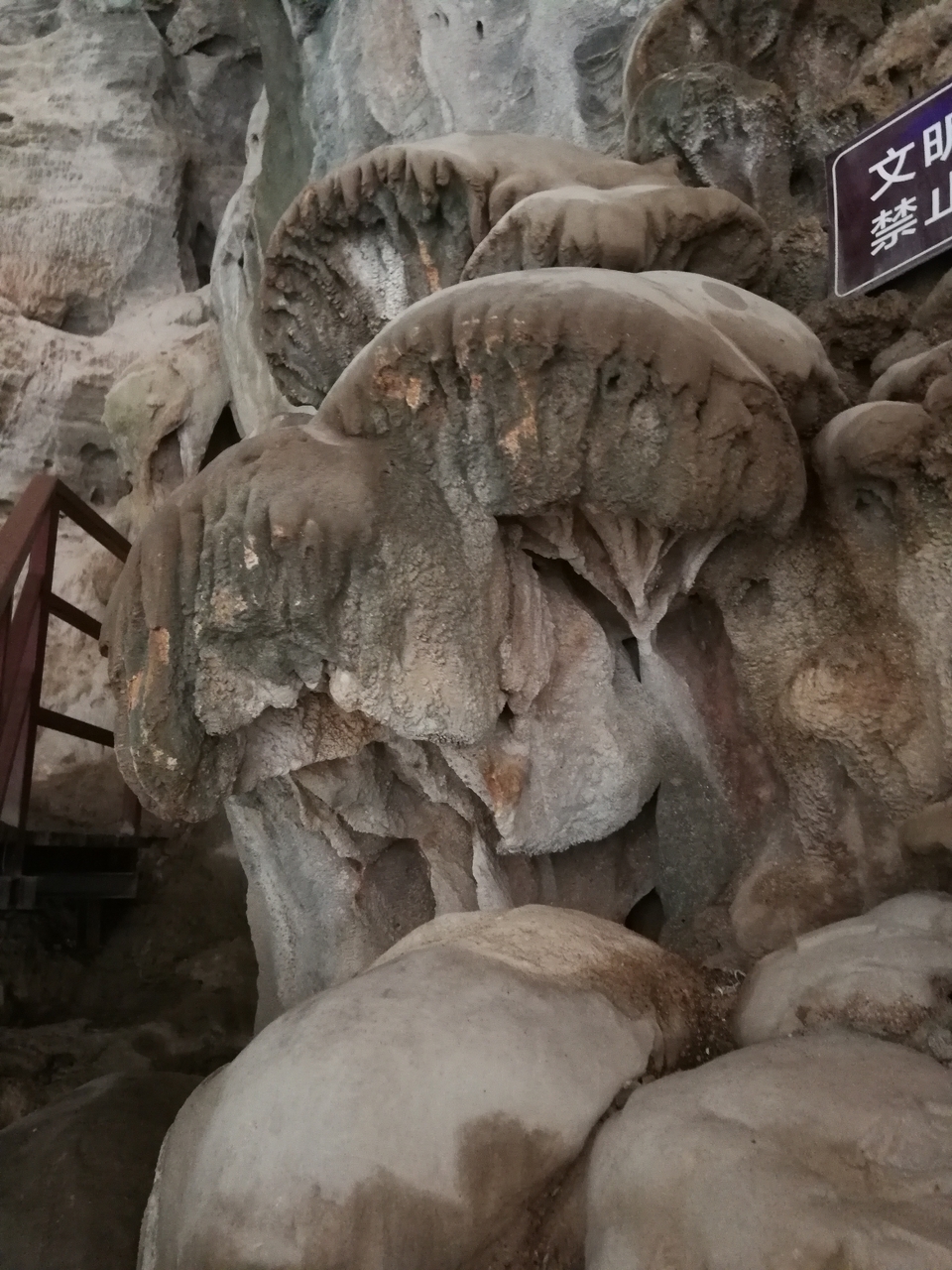 mmexport1529400246071