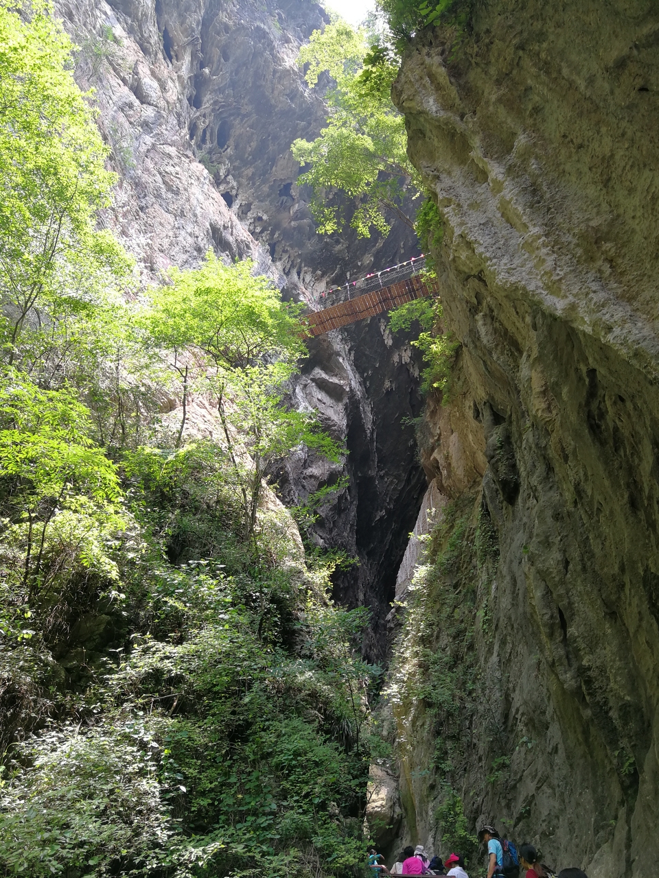 mmexport1529400259732