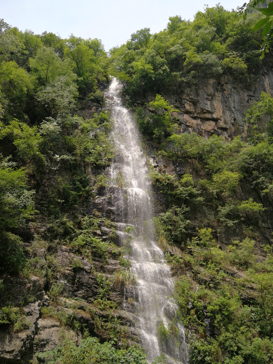 mmexport1529400265066