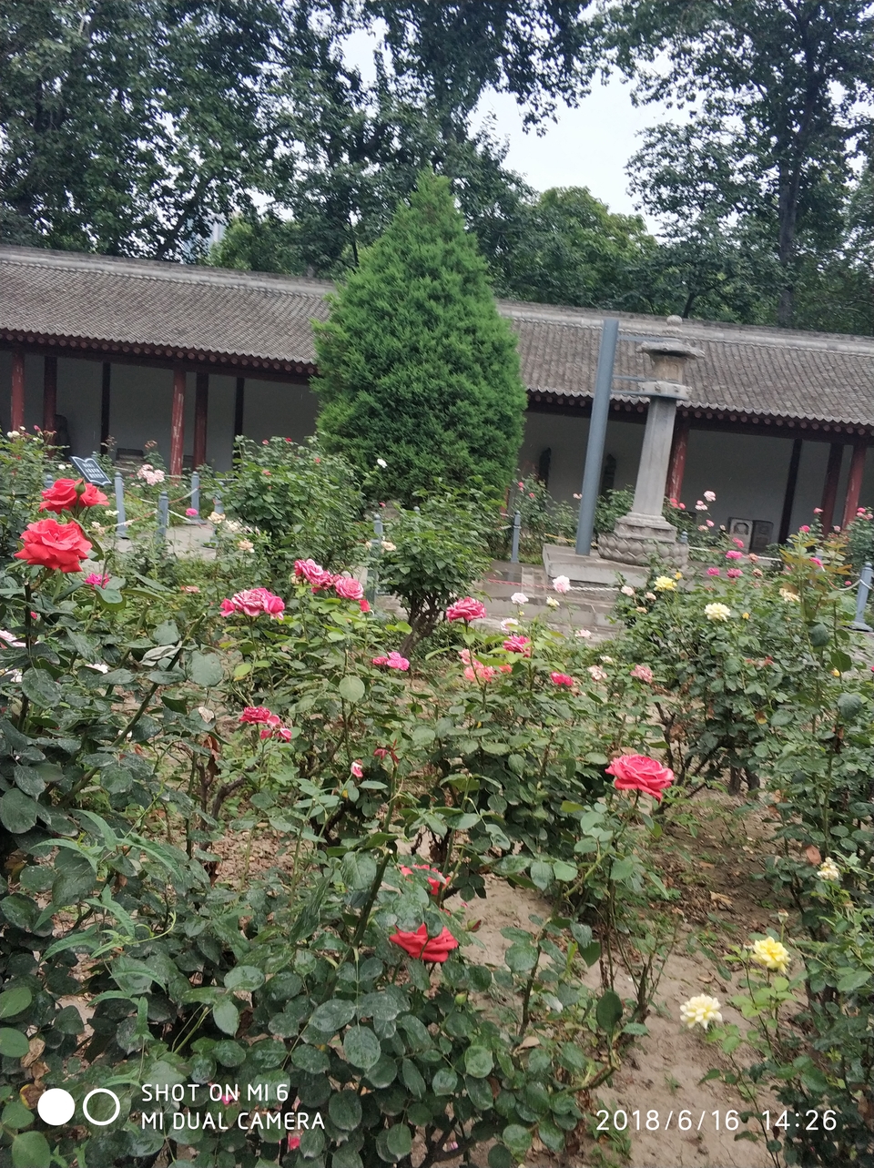 IMG_20180616_142650_1