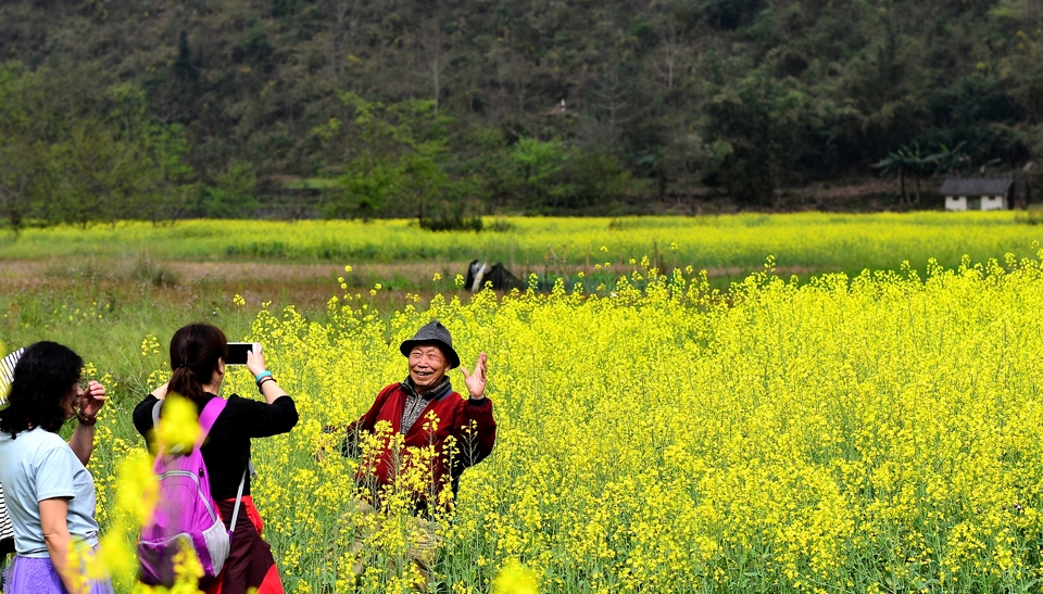 8eff8b7ff2abc9161e2e3fb58721297