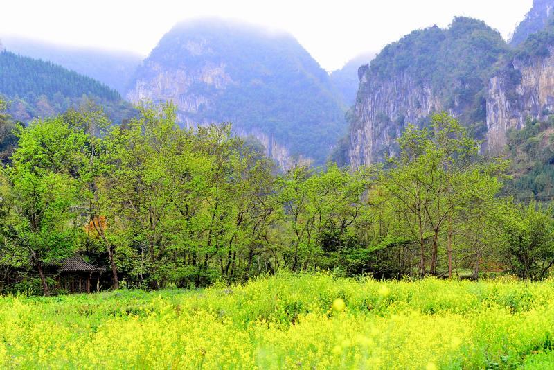 940d4921338805463f522f1e6fd1c03