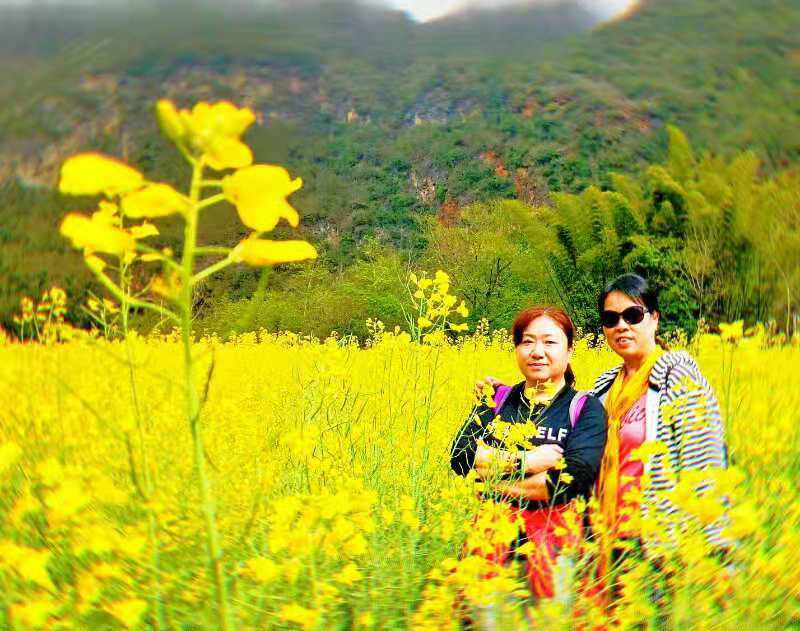 29303bb511dcc279ec6e9914e938dcb