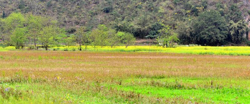 a7d8ff81a3e0a77bb8d8c32d35bb8a7