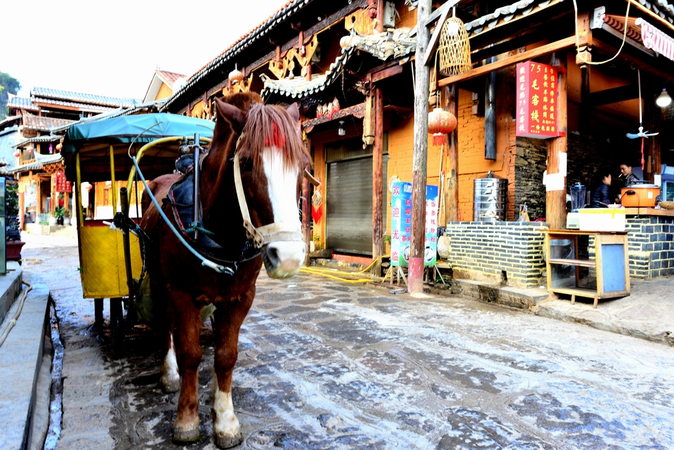 36372cba8e8c5841825bfc1ca57f7b5