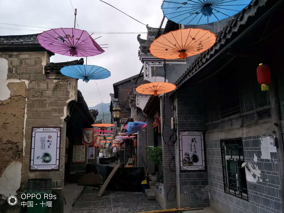 8e240de6a71cb19d9f271318760d1f4