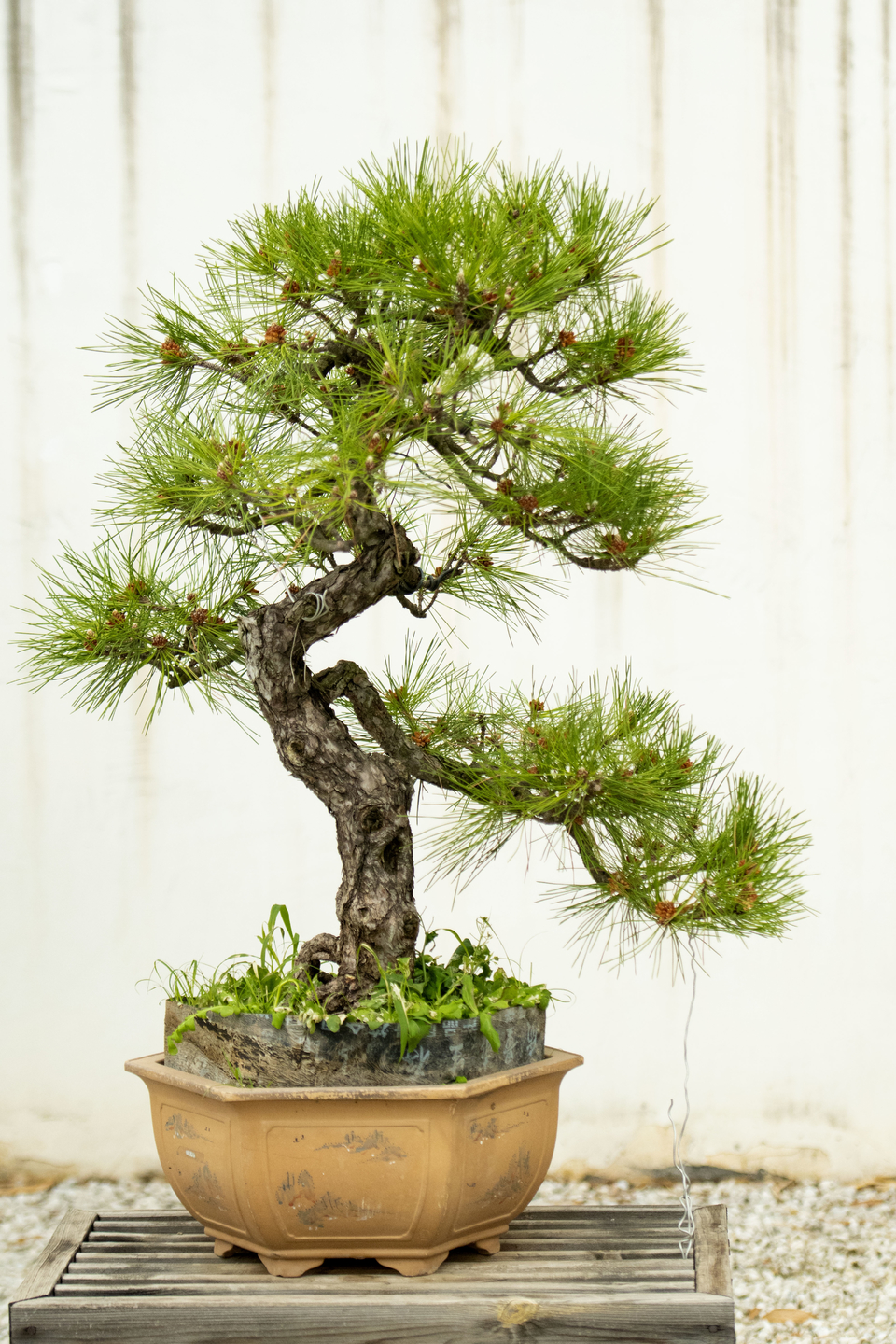 52ba7f3824cc0be212c35d0d74760df