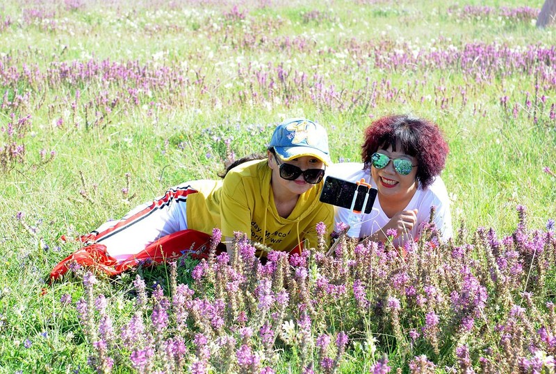 照片6321 1257_副本.jpg