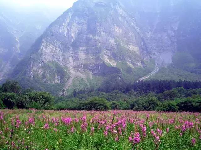 成都出发300km，中国版的黄石公园！亚洲最大冰瀑，最梦幻的震撼