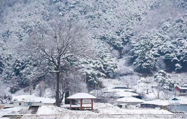 成都出发300km，中国版的黄石公园！亚洲最大冰瀑，最梦幻的震撼