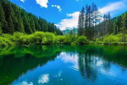 成都出发300km，中国版的黄石公园！亚洲最大冰瀑，最梦幻的震撼