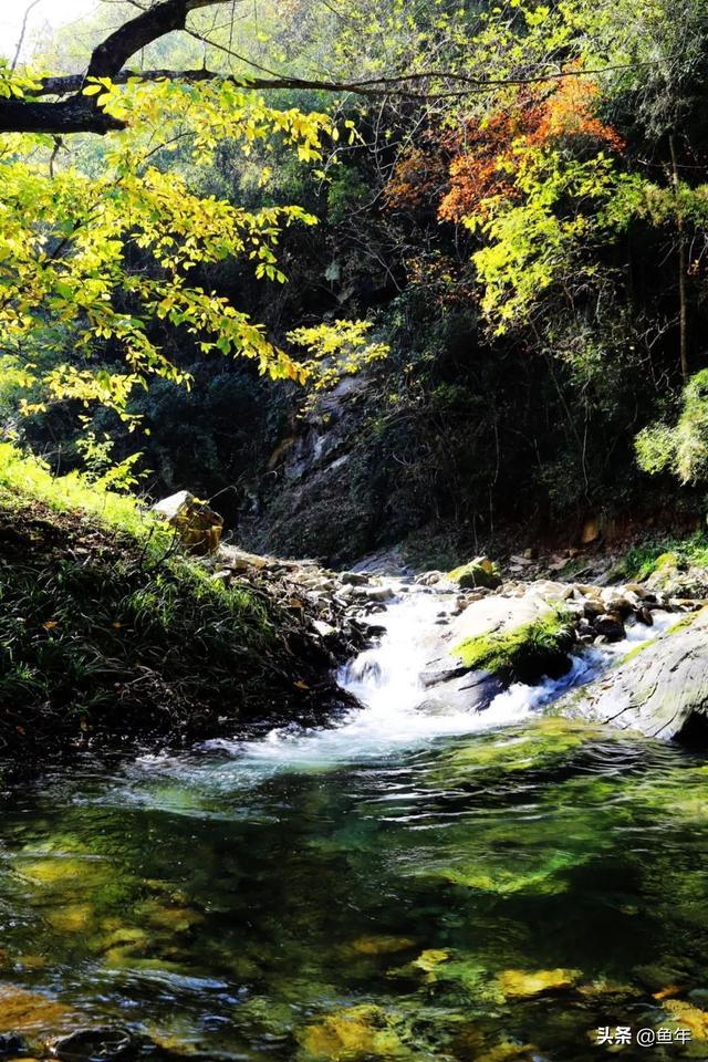 竹山旅游攻略 |身为十堰人，你可能不知道她有这么美