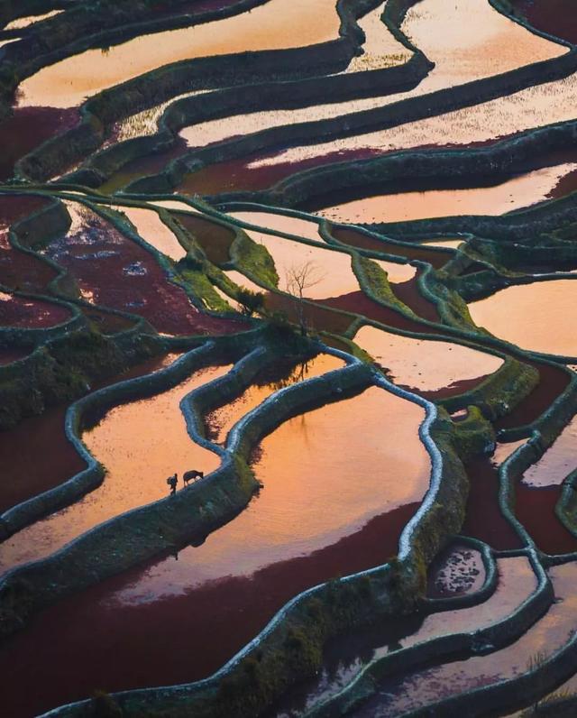 一位外国小伙被中国美景深深吸引，拍出了中华大地最美神韵