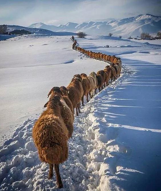 此景只应天上有，但留绝色在人间！