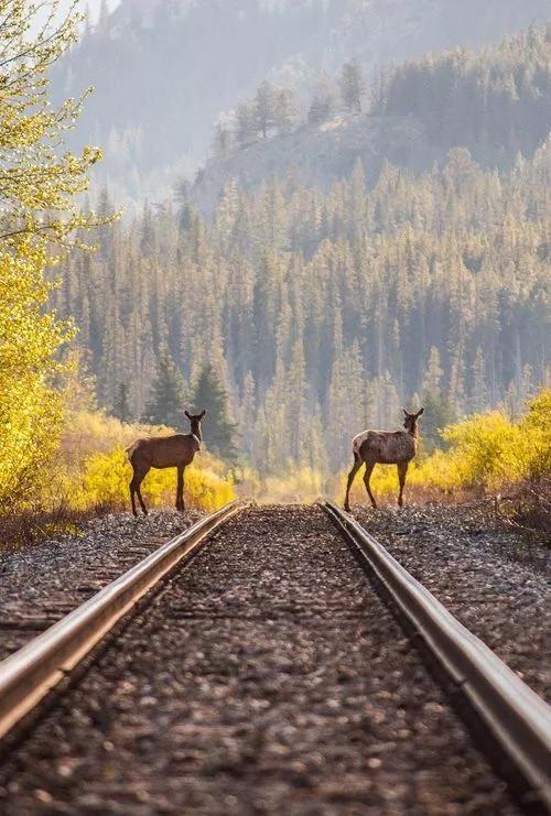 此景只应天上有，但留绝色在人间！