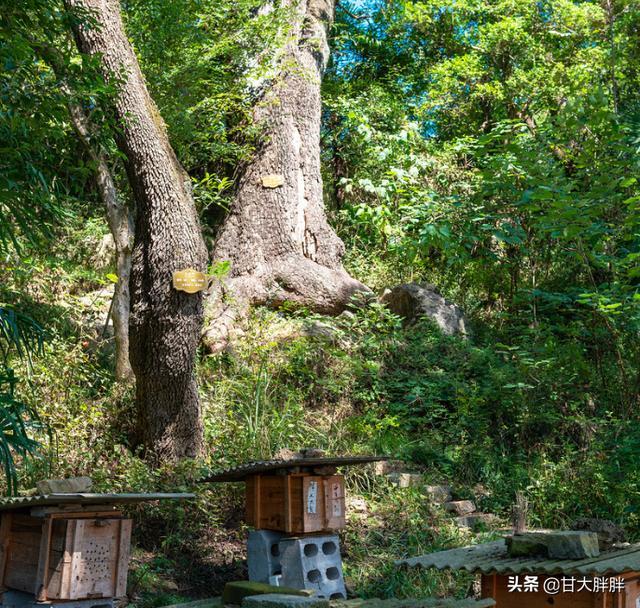 探访湖北最美古村，距今已有四百多年